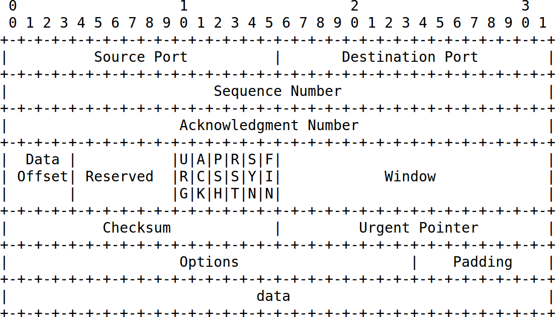 TCP Header