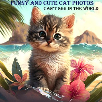 Un chaton mignon assis sur une plage entouré de fleurs avec une légende disant 'Photos de chats drôles et mignons que vous ne pouvez pas voir dans le monde'.